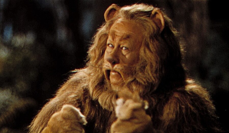 The Cowardly Lion S Wizard Of Oz Costume Was Made Out Of What