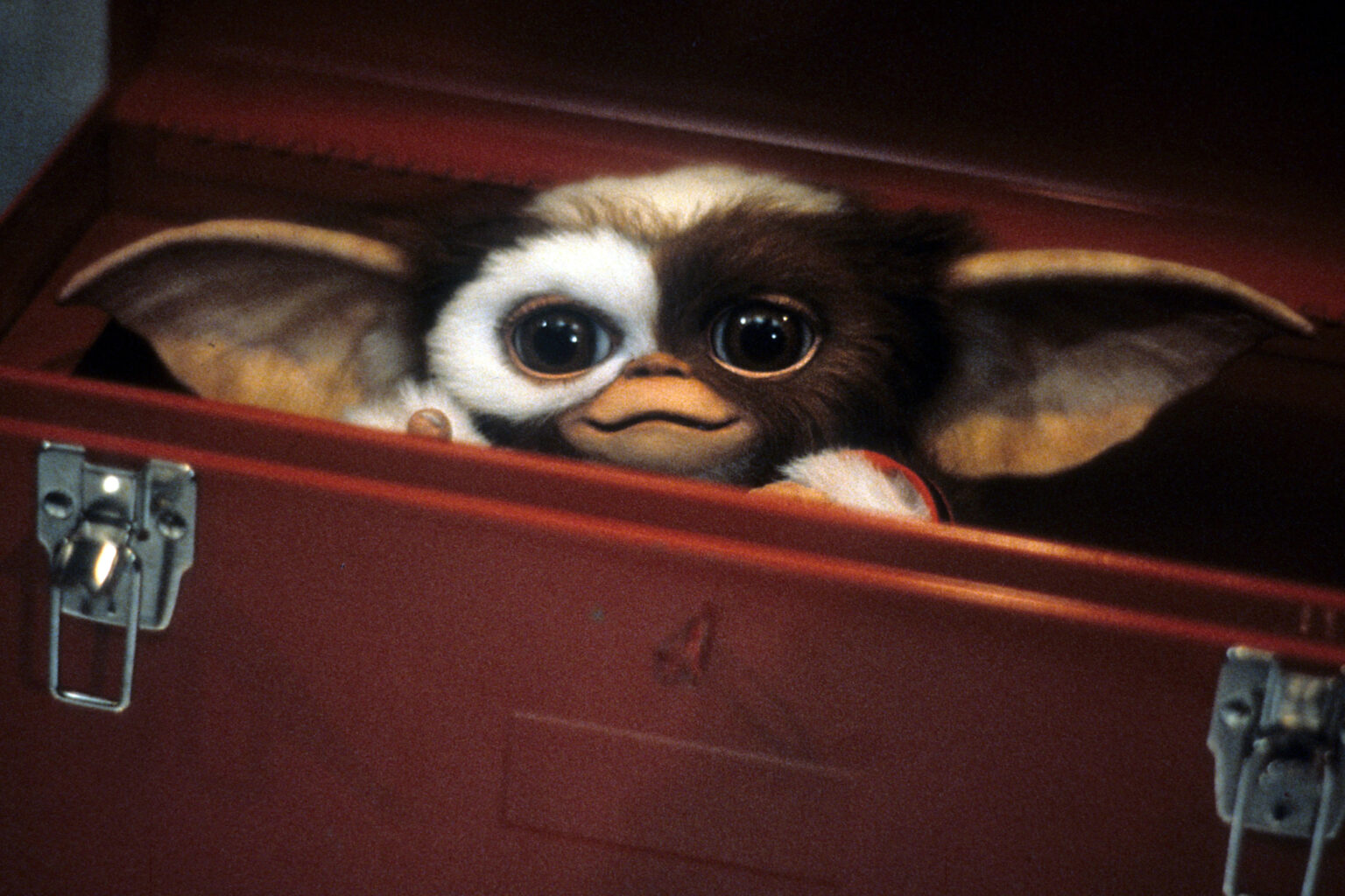 Gremlins 3 Will We Ever Get Another Gizmo Movie