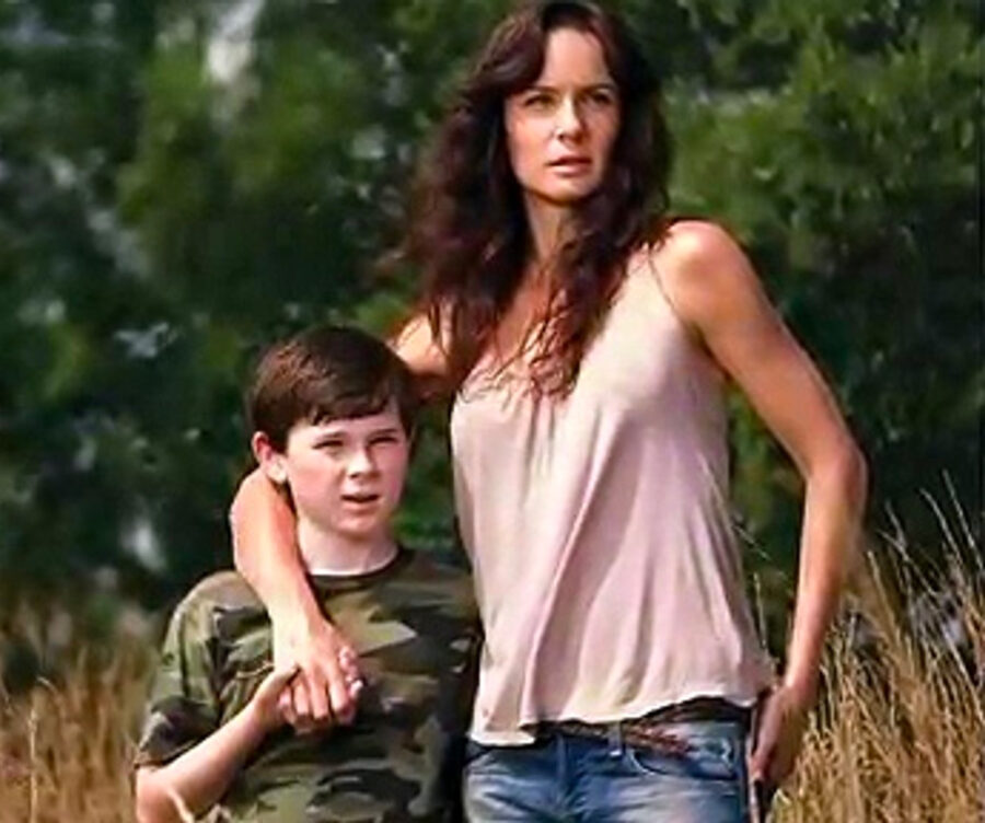 Sarah Wayne Callies What Happened To Her After The Walking Dead