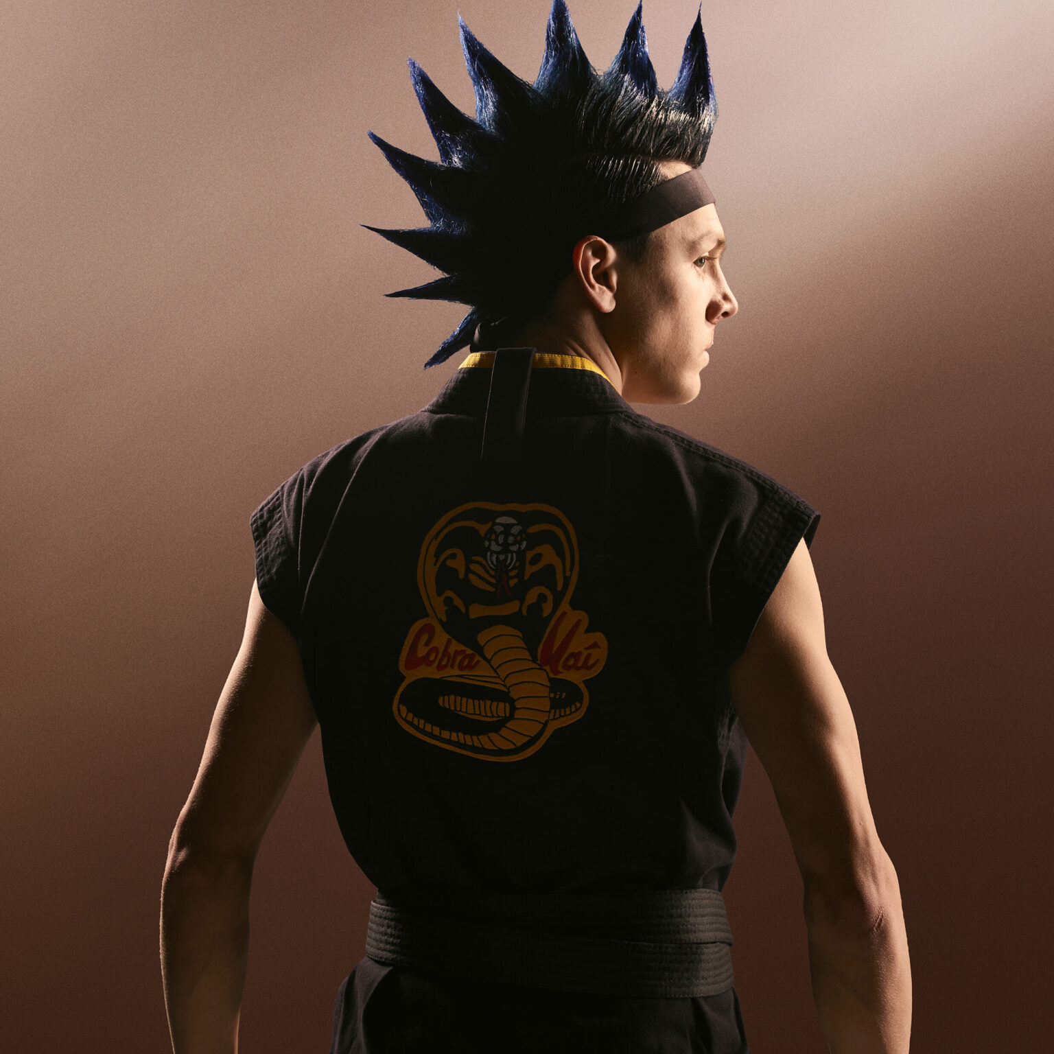 Cobra Kai Season 3 New Images And A New Trailer 4847