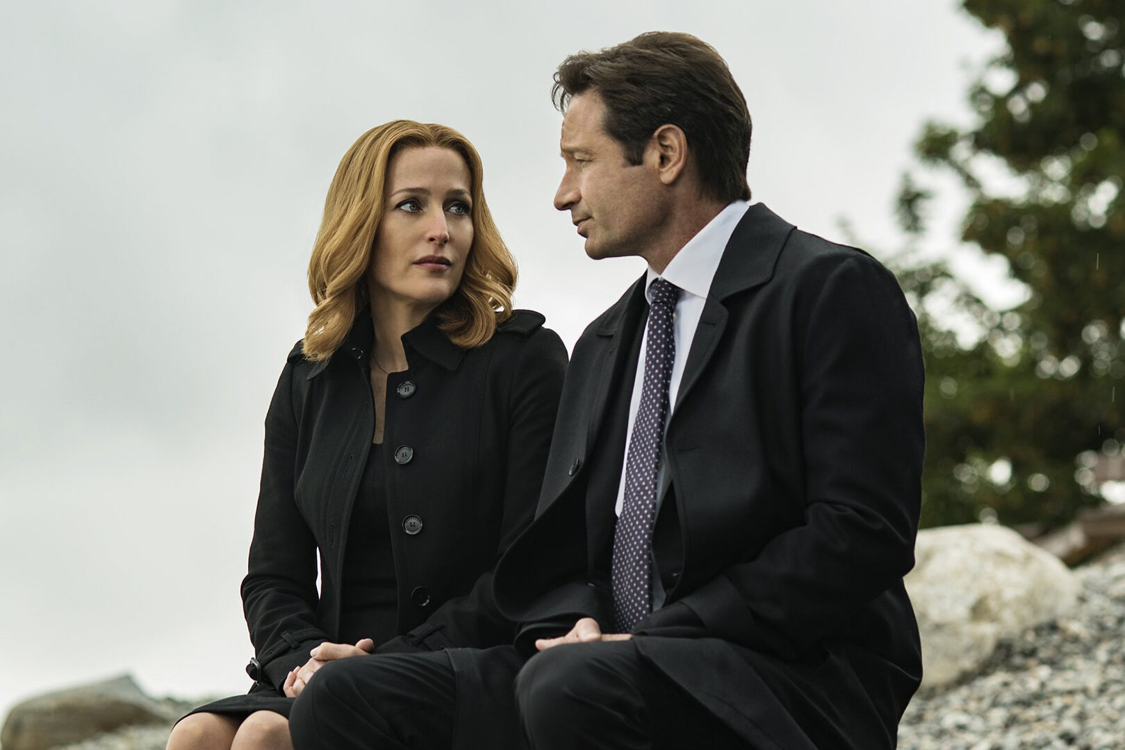  The X-Files: Season 2 : David Duchovny, Gillian