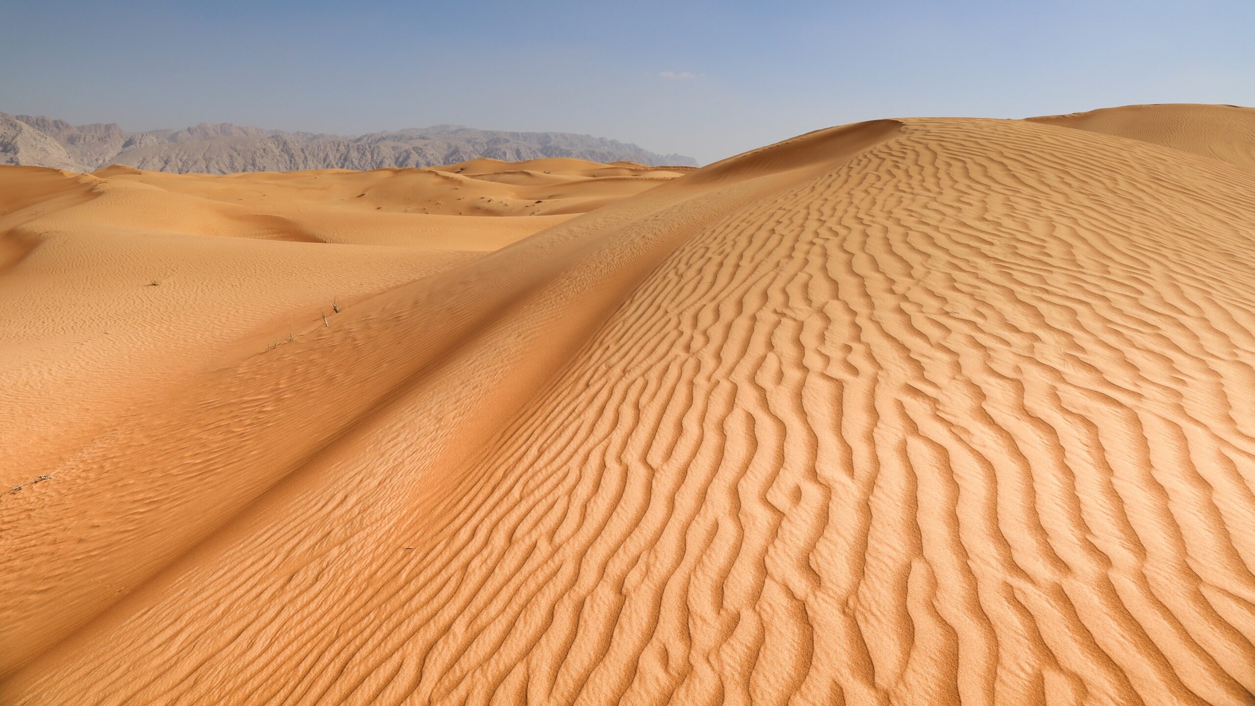 sand shortage desert