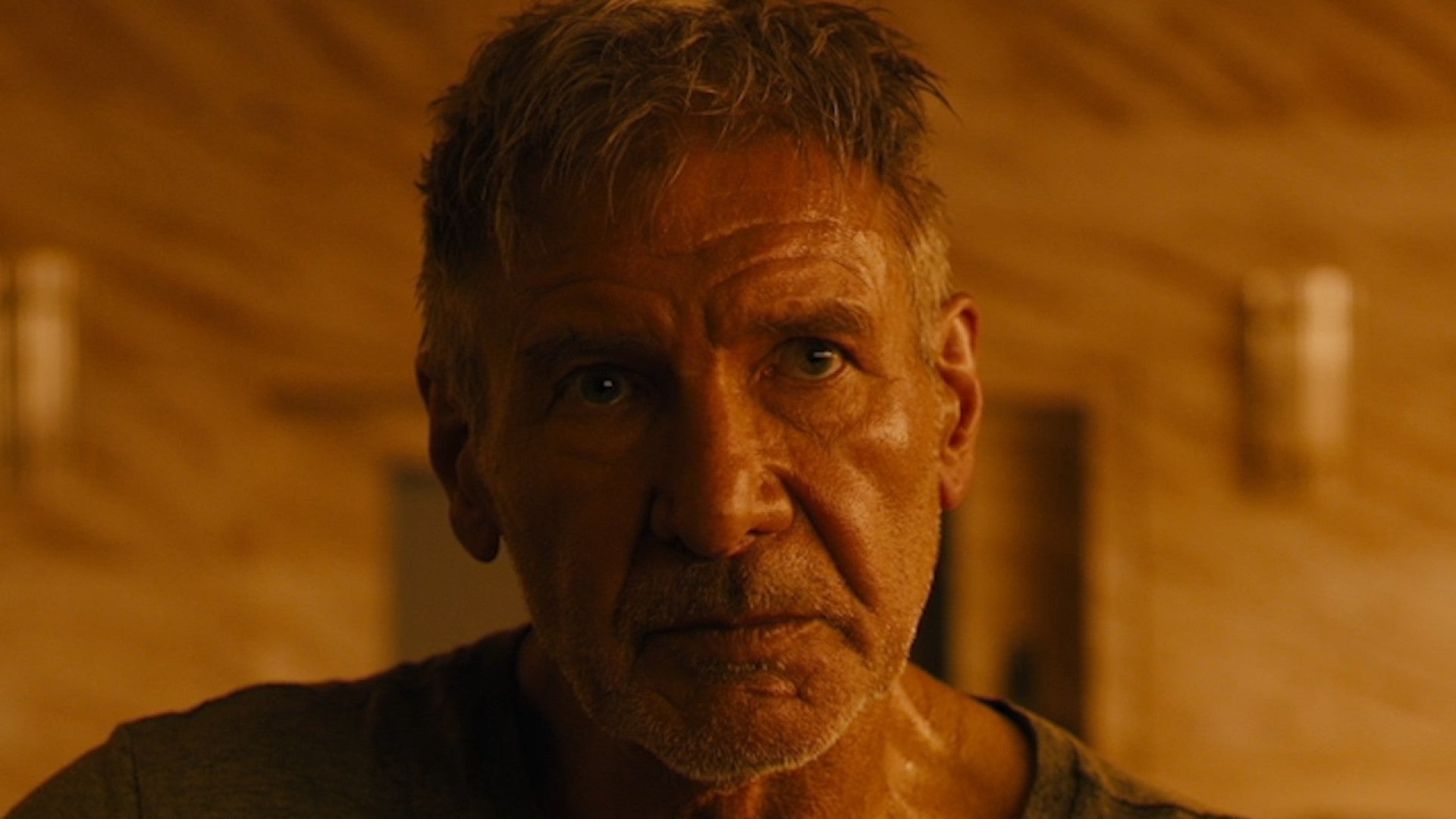 A Harrison Ford Movie Is Taking Off On Streaming