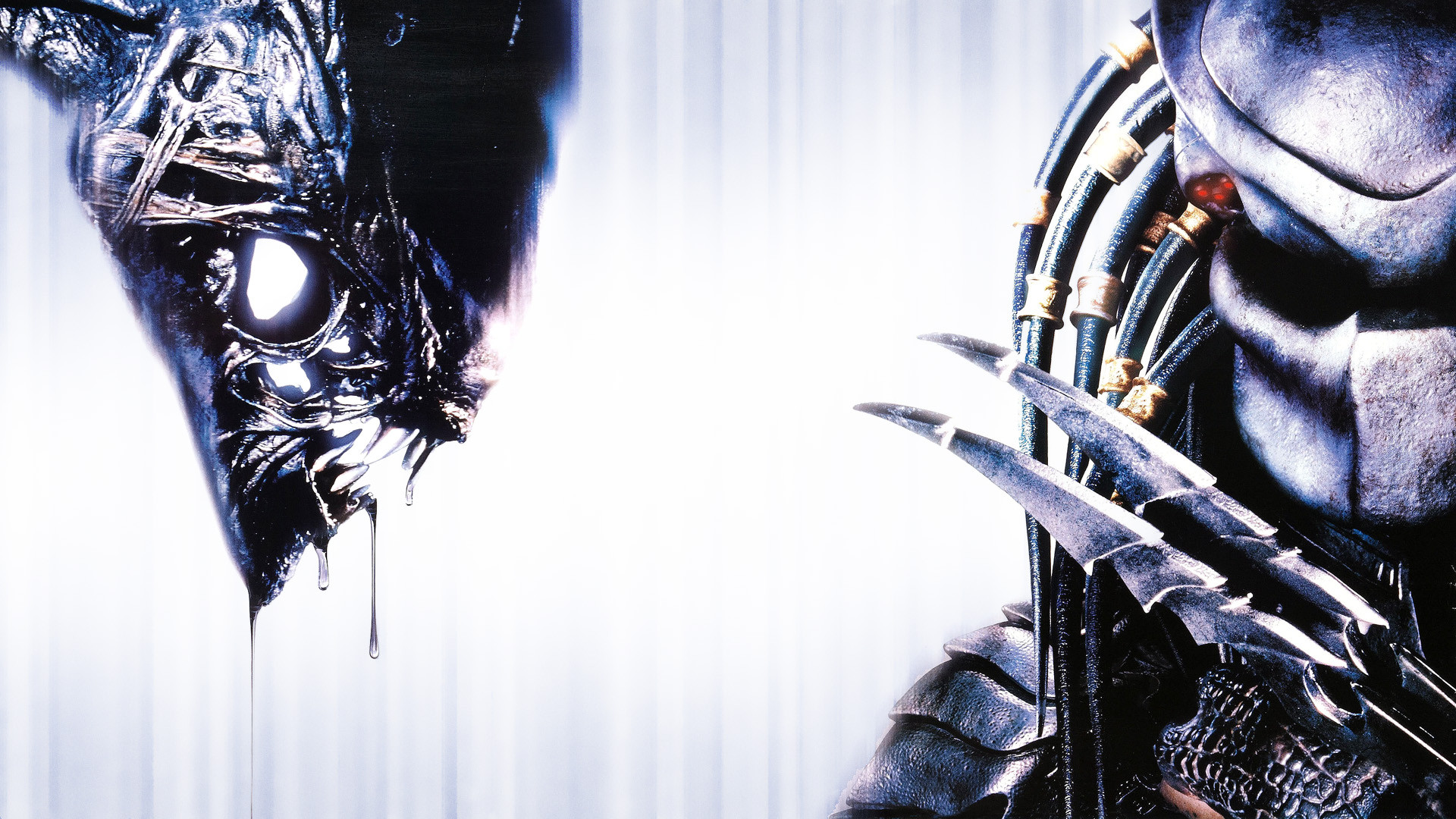 exclusive-new-alien-vs-predator-movie-in-development