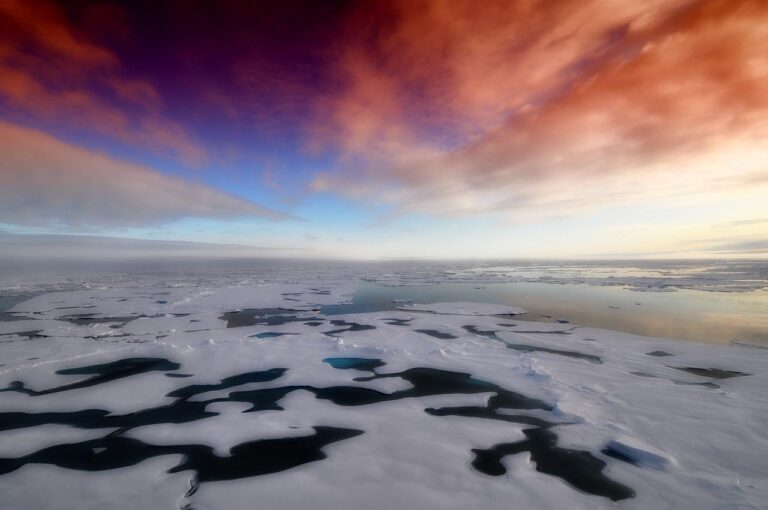 The North And South Poles Just Set Unbelievable Temperature Records ...