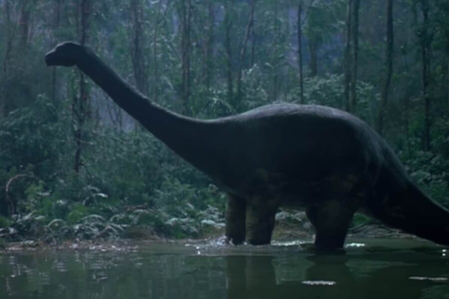 Mokele Mbembe: The lost dinosaur of the congo 