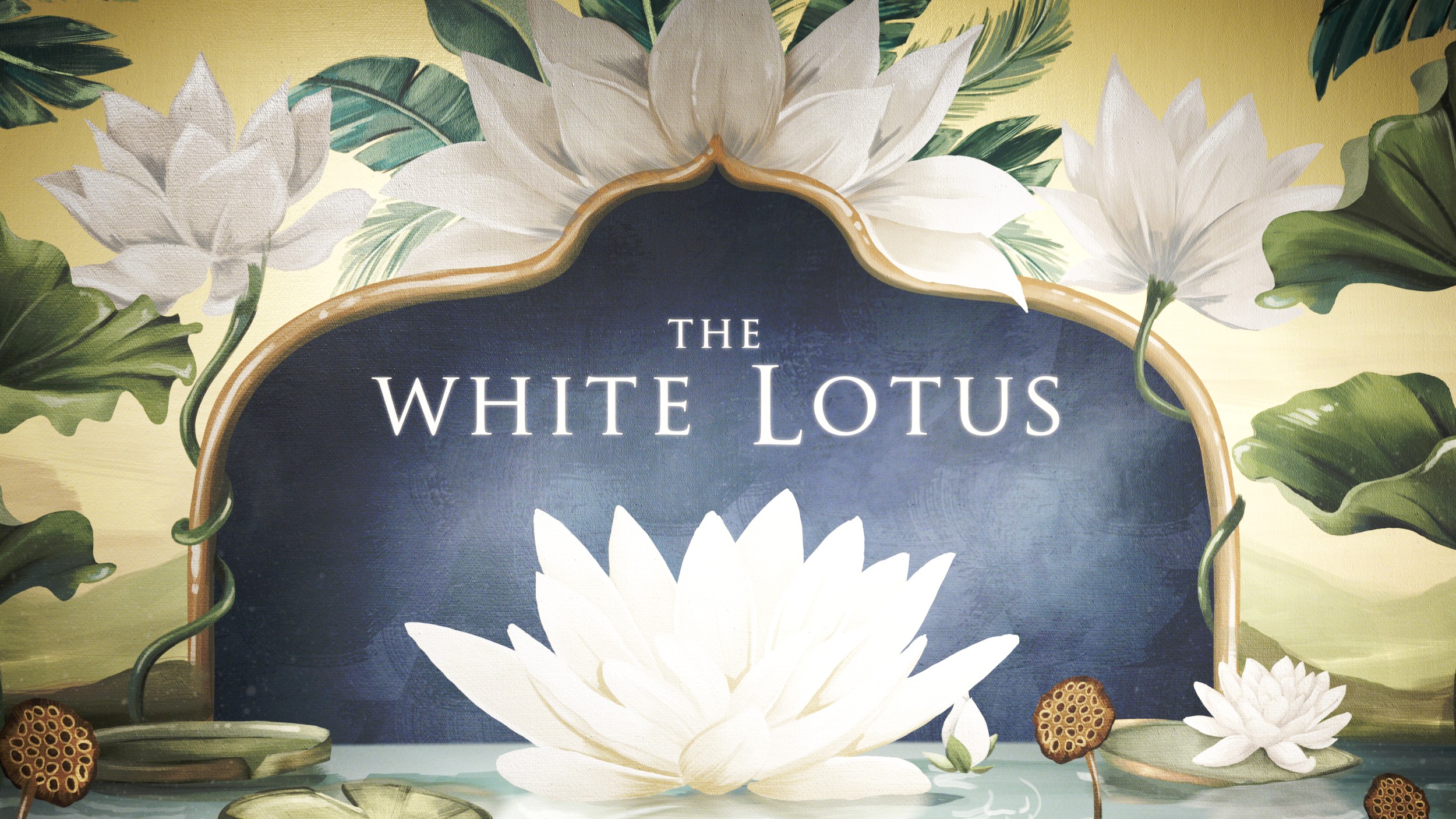 Jennifer Coolidge and Aubrey Plaza lead cast of The White Lotus as tensions  simmer in new trailer