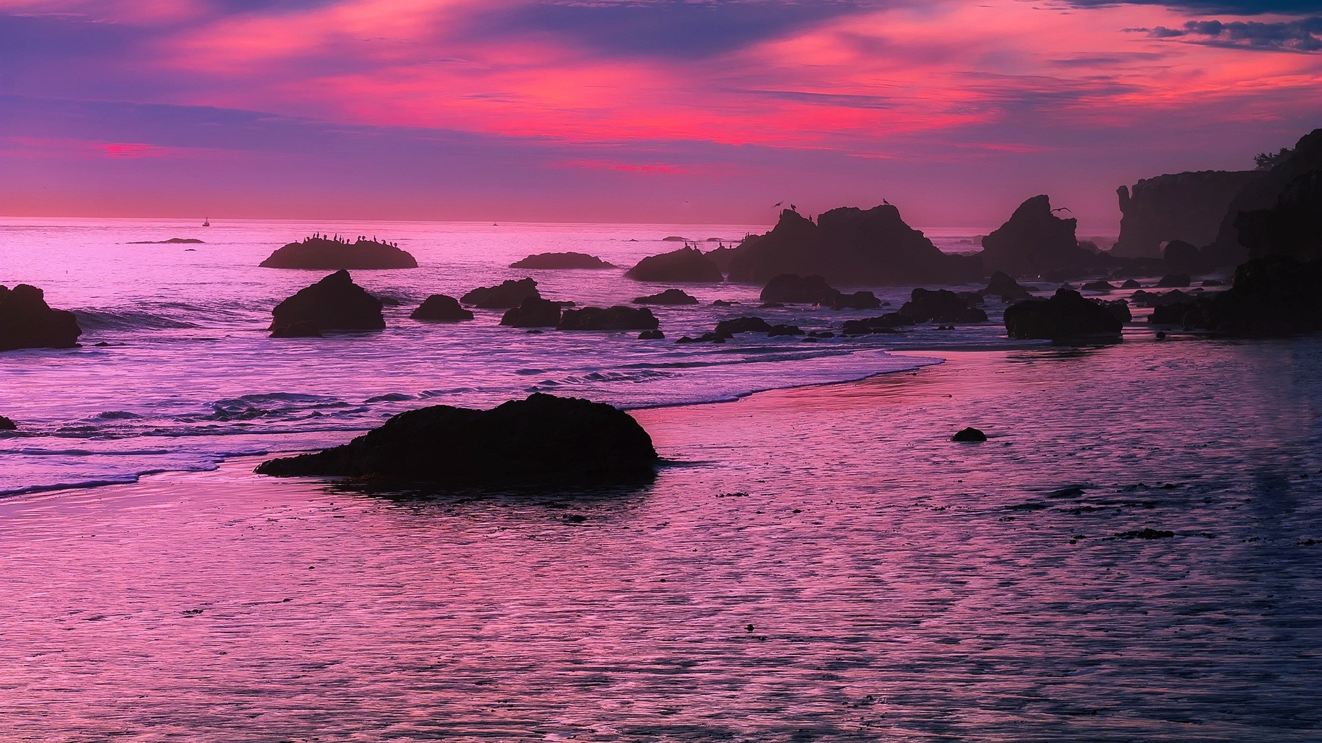 Pink Dye Experiment to Reveal Mysteries of Coastal Ocean Dynamics