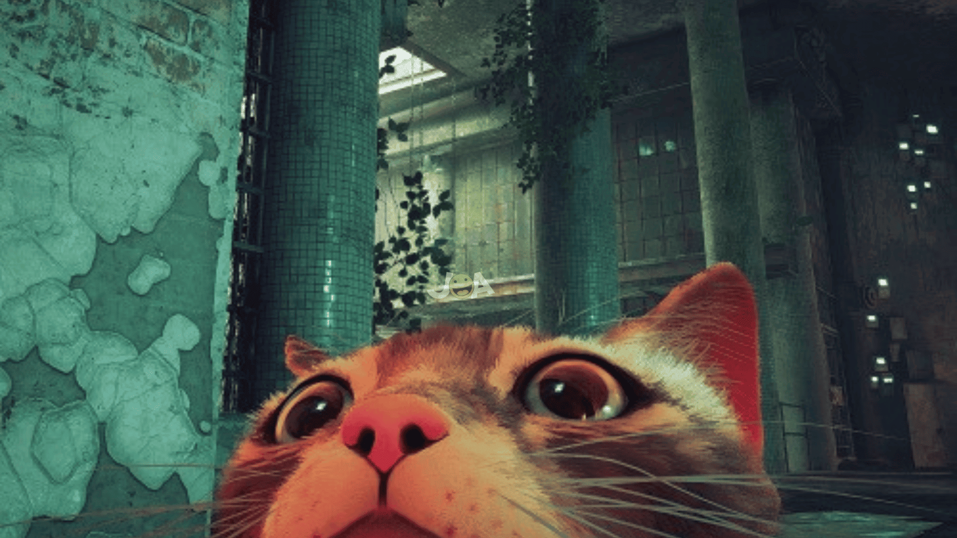 Stray Cat Video Game Gets Movie From Annapurna