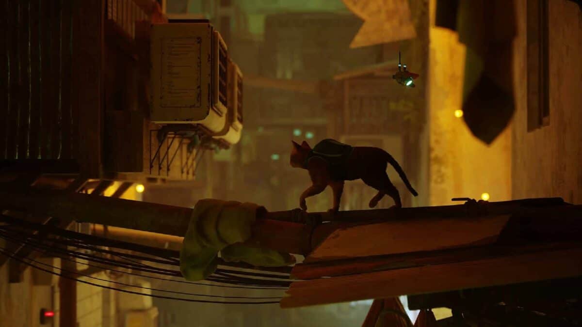 Award-winning Sci-fi Cat Video Game Becoming A Movie 