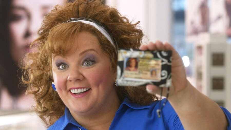 Identity Thief 2013