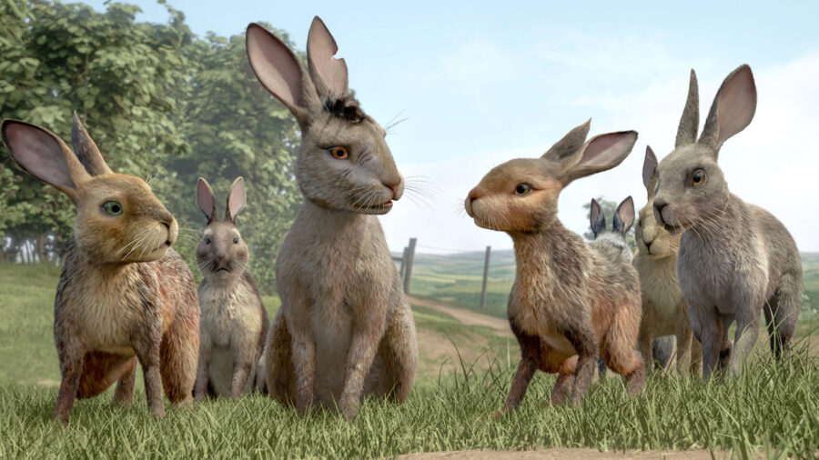 Watership Down Netflix