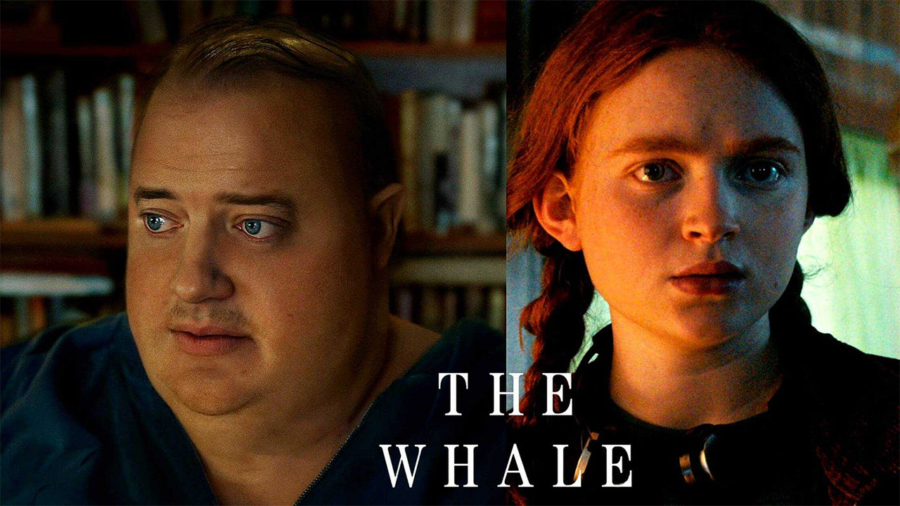 the whale