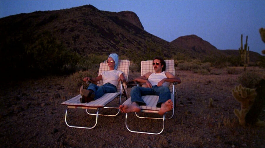 Raising Arizona