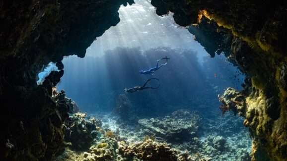 Scuba Gear Lizard Can Breathe Underwater