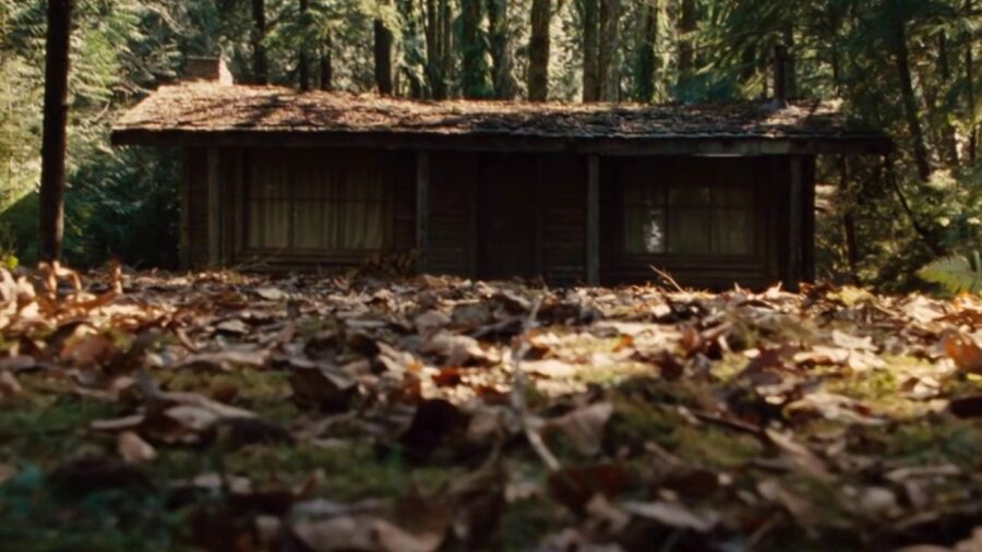 cabin in the woods